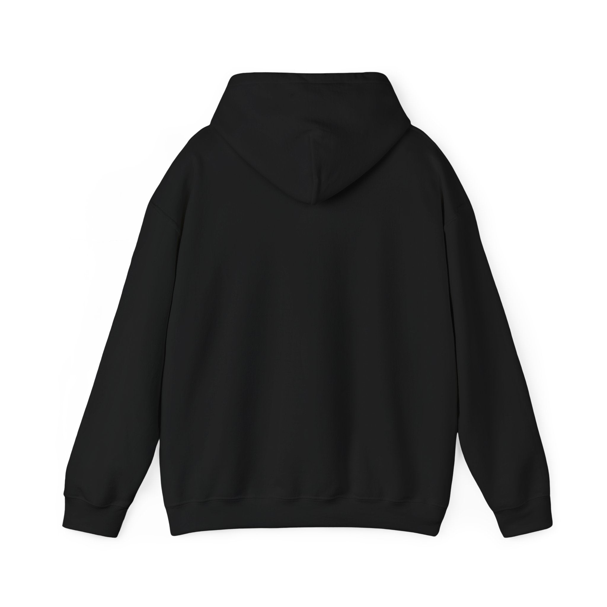 Coastal Sunset Emblem Hoodie | ocean aesthetic, beach vacation