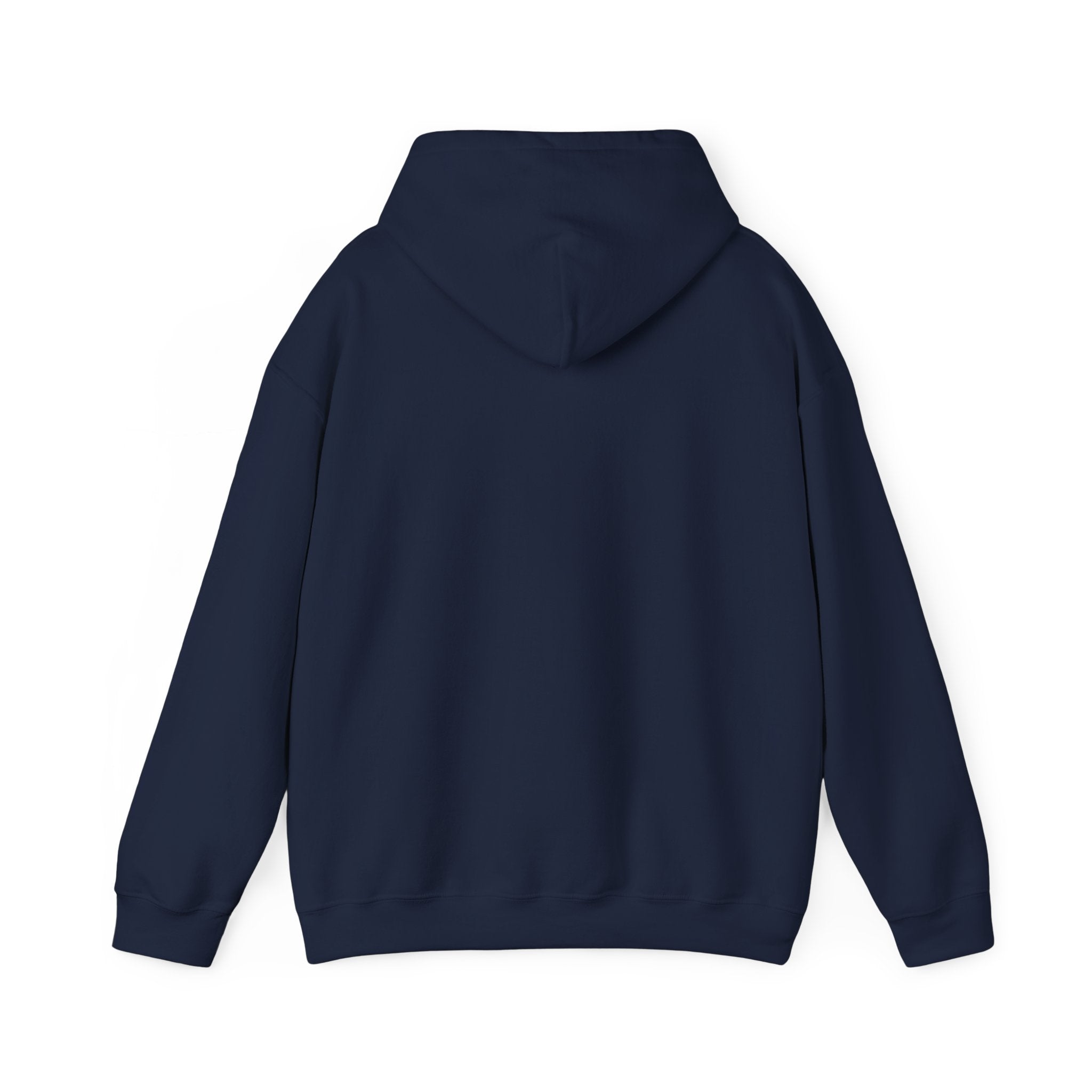 Coastal Sunset Emblem Hoodie | ocean aesthetic, beach vacation