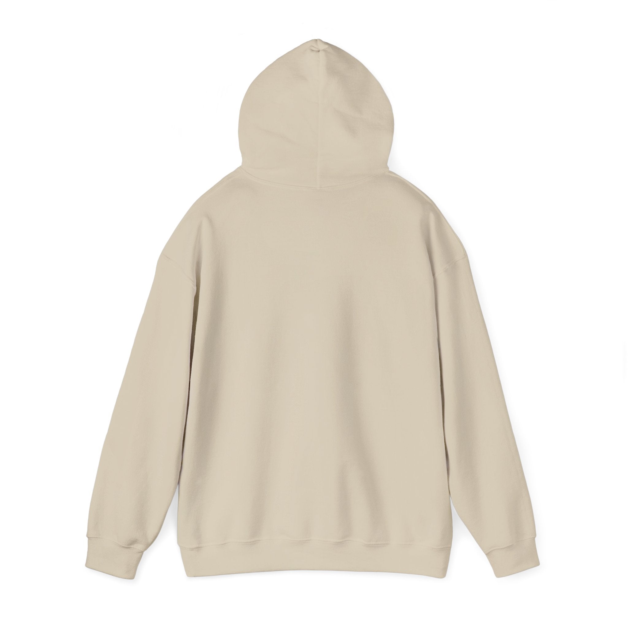 Coastal Sunset Emblem Hoodie | ocean aesthetic, beach vacation