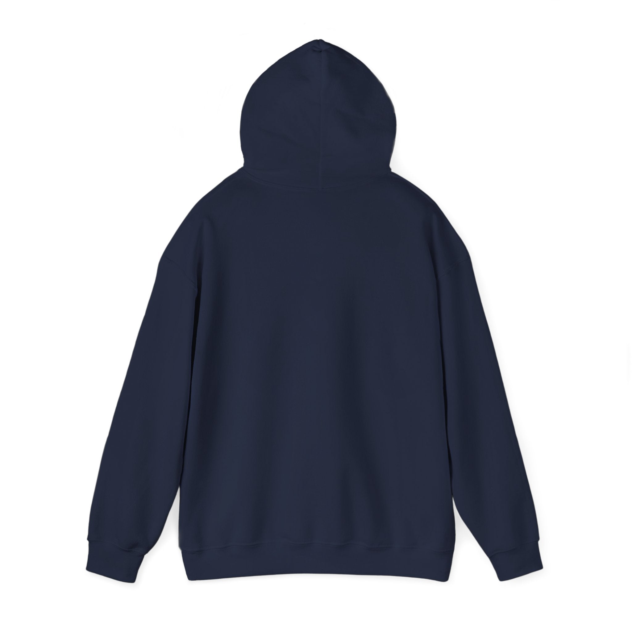 Coastal Sunset Emblem Hoodie | ocean aesthetic, beach vacation